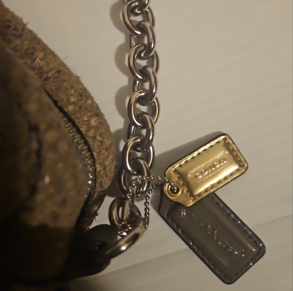 Coach Cambell Me Iridescent Python  Crossbody Bag F24849 –Rare& Stunning - Picture 12 of 16